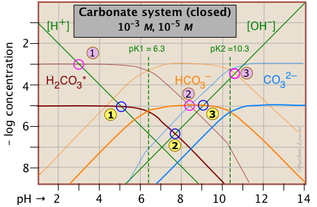 LCcarbonate-3,5.png