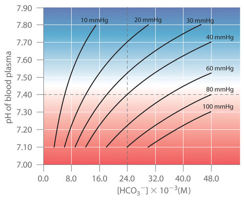 Graph of pH of blood plasma against concentration of HCO3 minus. Seven plots are given. 