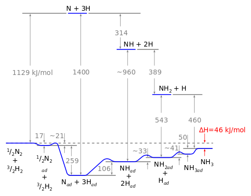 Potential_energy_diagram_for_ammonia_synthesis.png.png