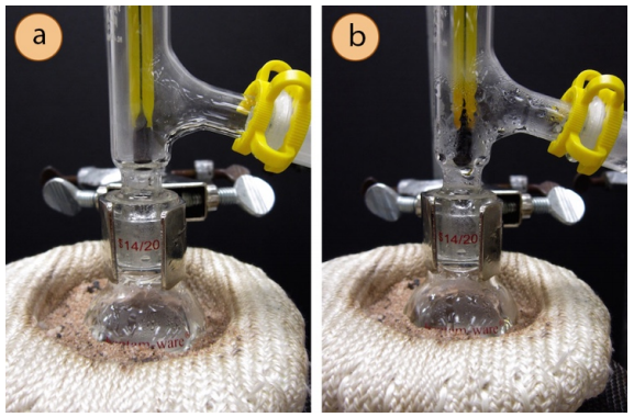  A: Closeup of distillation flask and thermometer. The adapter has only a thin layer of fog inside. B: Same closeup at a later point, where there is extensive condensation inside the thermometer adapter.
