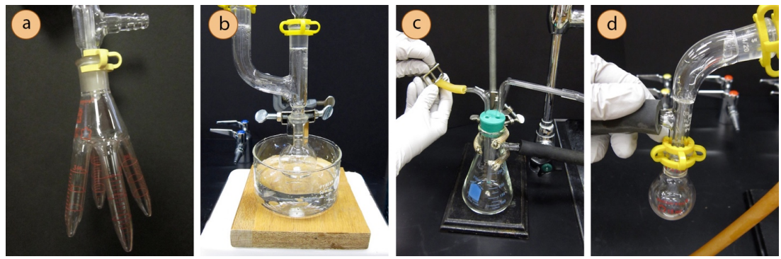  A: A cow version of a receiving flask. Four extensions make up the udder of the flask. B: A distillation flask with Claisen adapter lowered into a water bath. C: Gloved hands open the vacuum seal on a vacuum trap. D: Gloved hands removing a vacuum tube from a receiving flask.