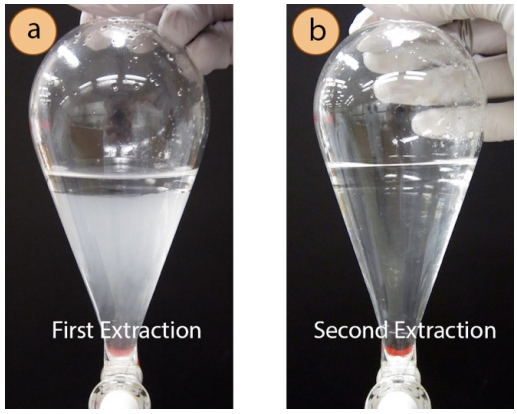  A: Flask with cloudy layer and second clear layer on top, labelled "First Extraction". B: Flask with one clear layer of fluid, labelled "Second Extraction".