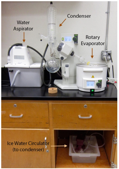  Rotary evaporation setup with water aspirator, condenser, rotary evaporator on a tabletop. An ice water circulator underneath the tabletop attaches to the condenser.