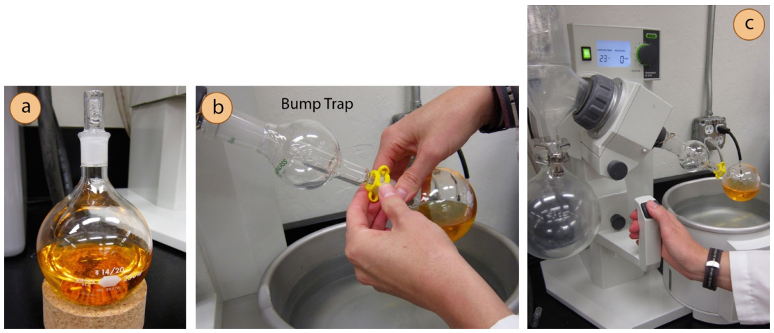  A: Distillation flask full of orange fluid. B: Bump trap being attached to distillation flask in 5.67A. C: Rotary distillation setup with distillation flask being lowered into water bath.