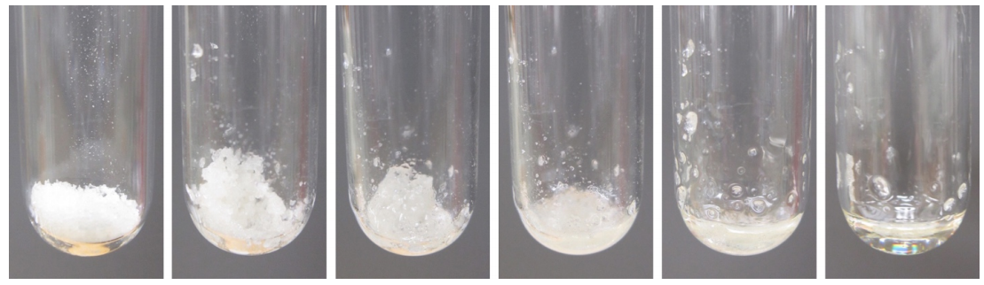Timelapse de un tubo que contiene polvo blanco que se funde espontáneamente en un líquido transparente.