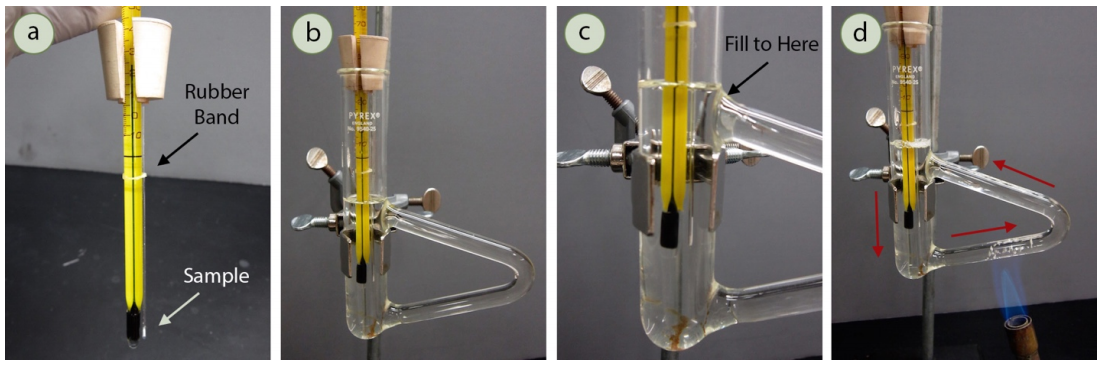  A: Capillary sample in a thermometer. Arrows indicate a rubber band and the sample itself. B: Sample and thermometer inserted into Thiele tube. C: Thiele tube with mineral oil inside. Arrow points to the level of mineral oil, just above the top triangular arm of the Thiele tube. D: Heating of the Thiele tube with a Bunsen flame along the lower triangular arm. Arrows indicate the direction of heat flow along the upper triangular arm, down the central tube, and through the lower triangular arm.