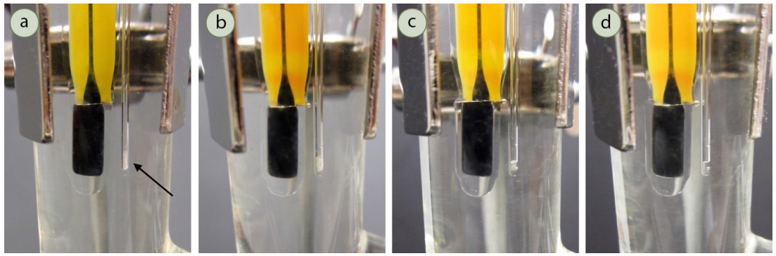  A: Closeup of Thiele tube with thermometer and capillary tube with solid, unmelted sample. B: Sample is slightly melted. C: Sample is partially melted and has formed a pool of clear liquid. D: Sample is fully melted.