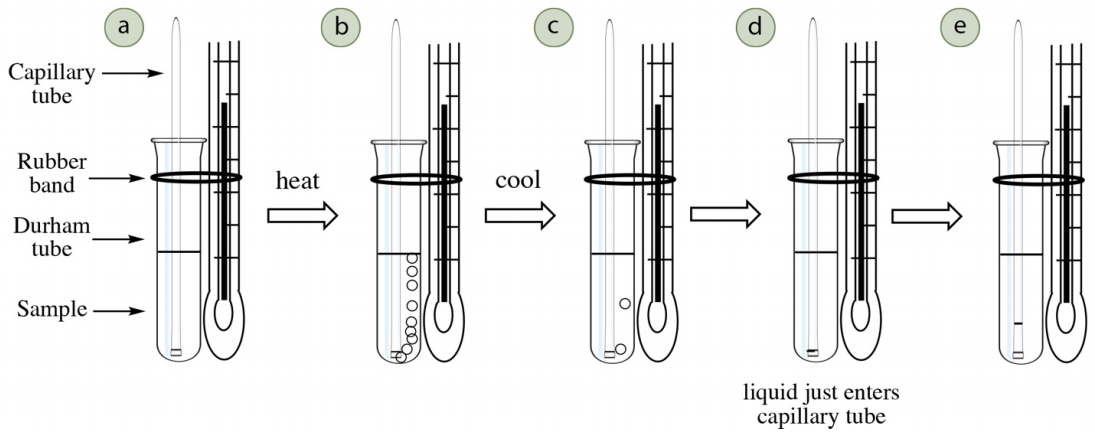 Determinación del punto de ebullición, con componentes de configuración tubo capilar, banda de goma, tubo Durham y muestra