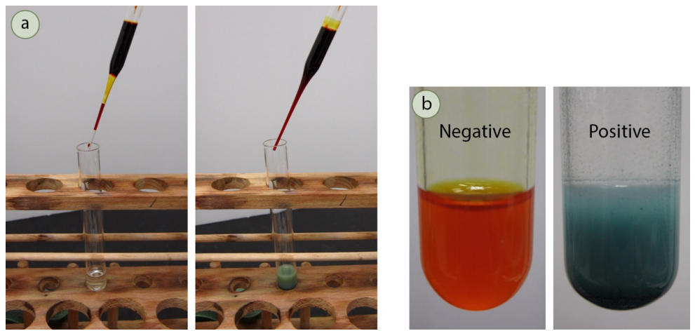 Chromic acid test: Negative result is orange colored, and positive result is dark blue