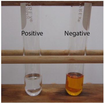 Resultados de dos aldehídos en la prueba de bromo: el tubo positivo es de color claro y el tubo negativo es de color naranja