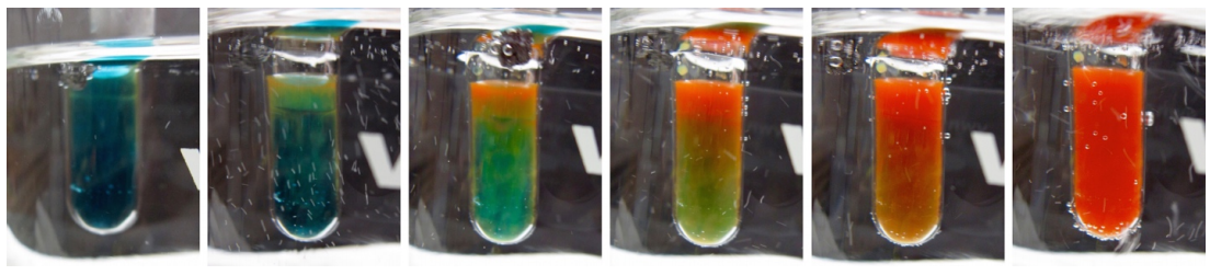 Reactivo de Benedict reaccionando con glucosa: transiciones de solución de color azul a rojo