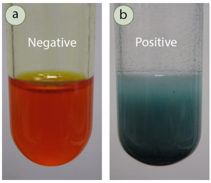 Prueba de ácido crómico (Jones): El resultado negativo es solución naranja, el resultado positivo es solución azul-verde