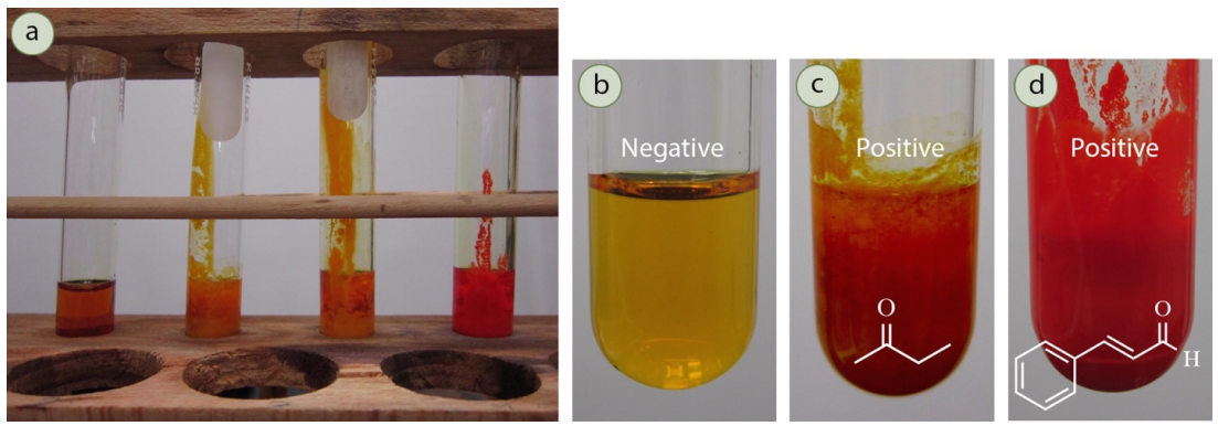 2,4-DNPH (Brady's) Test: Negative result is clear yellow solution, positive result is red or orange precipitate
