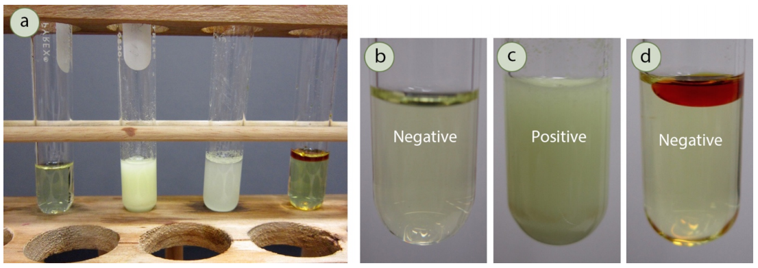 Iodoform Test: Negative result is clear solution, positive result is solution with yellow precipitate