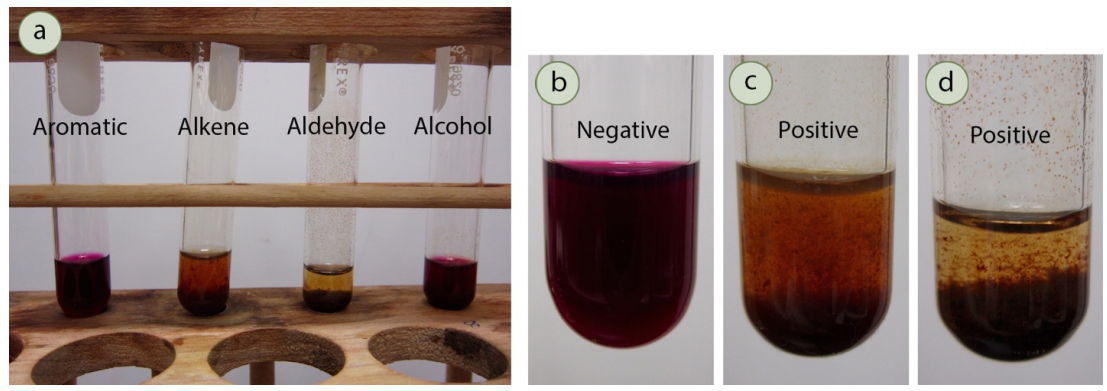 Permanganate (Baeyer) Test: Negative result is deep purple solution, positive result is brown precipitate