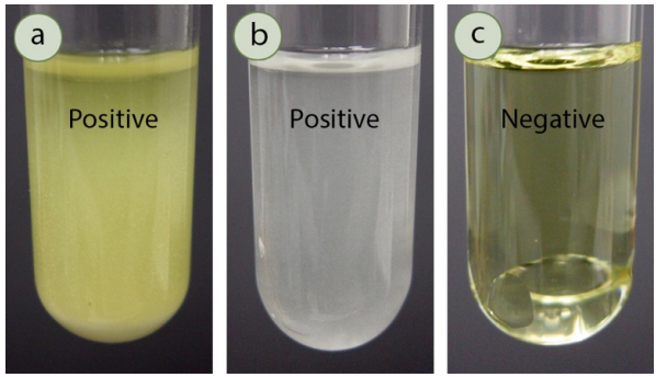 Sodium Iodide (Finkelstein) Test: Negative result is clear solution, positive result is precipitate