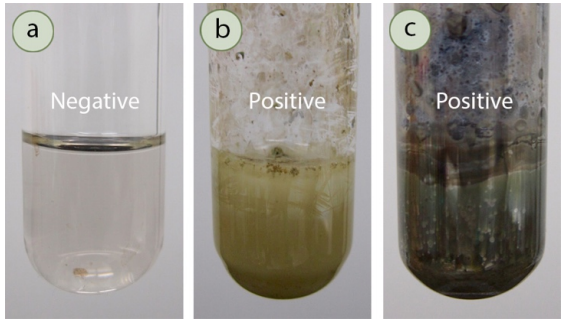Tollens Test: Negative result is clear solution, positive result is precipitate