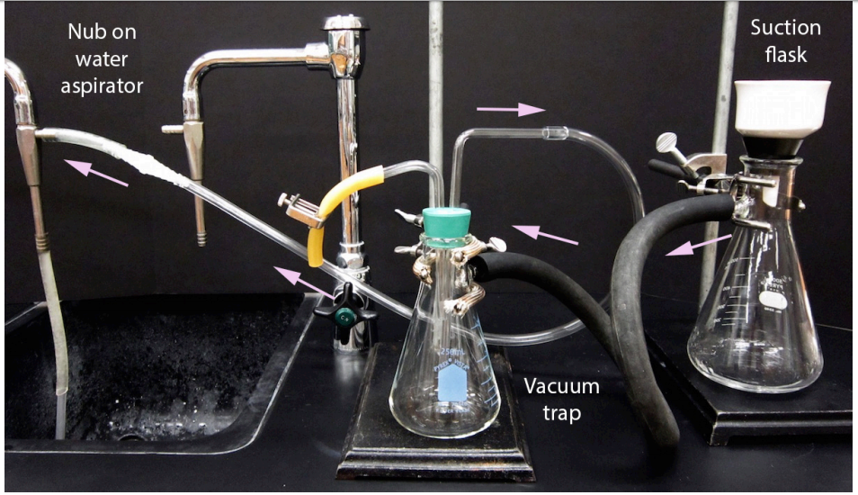 Suction filtration components: Nub on water aspirator, vacumm trap, and suction flask. Flow is from suction flask to vacuum trap and can flow out towards water aspirator or back to suction flask.