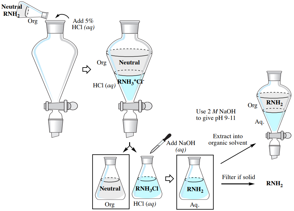  To extract the basic component add 5% hydrochloric acid to neutral amine. Extract the neutral and hydrochloric solution. Add sodium hydroxide to the hydrochloric solution. If the solution is solid then filter, if not then extract into the organic solvent. Use 2 molar sodium hydroxide to get a p H of 9-11.