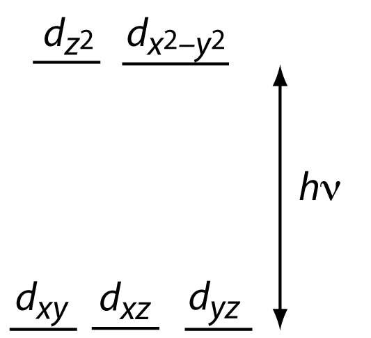 Figure10.17.jpg