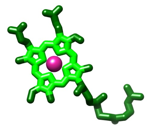 Structure of a porphyrin  ring