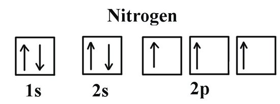 Nitrogen has one lone pair in the 1 s orbital, one lone pair in the 2 s orbital, and 3 unpaired electrons in the 2 p orbital. 