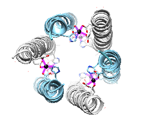 Top view of dermcidin hexamer portrayed as a ribbon structure with threeZn ions shown