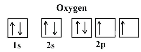 Oxygen has one lone pair in the 1 s orbital, one lone pair in the 2 s orbital, and one lone pair with two unpaired electrons in the 2 p orbital. 