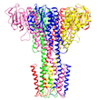 Zinc Transporter Protein: ZntB