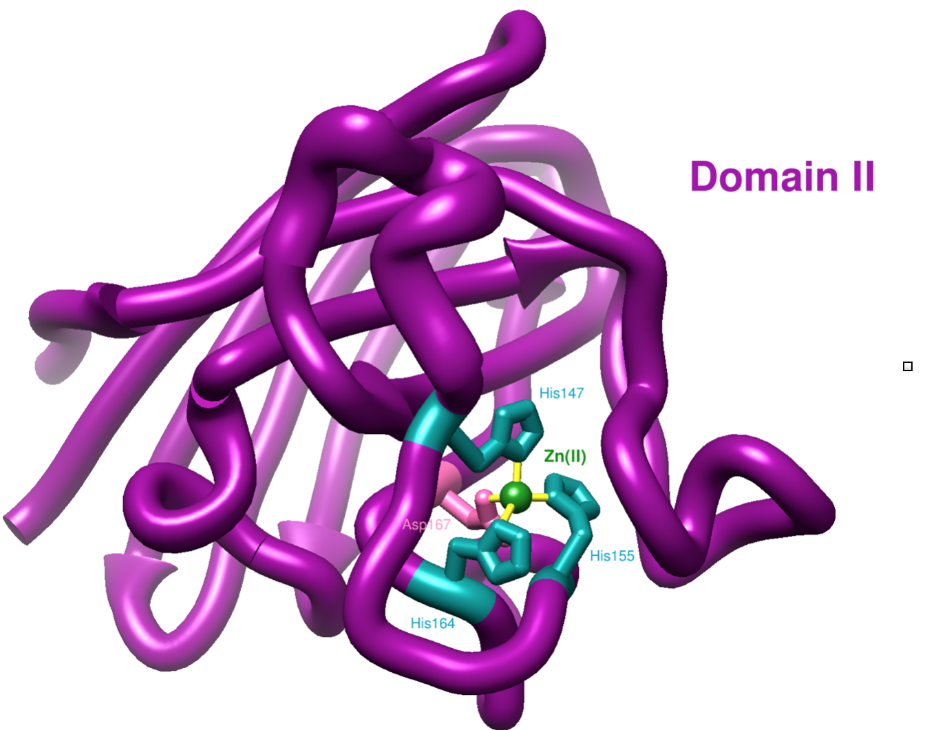 Close up image of Zn binding site of CCS
