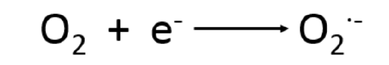Superoxide