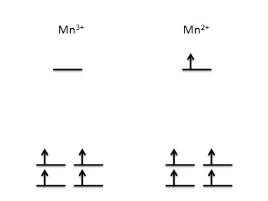 Splitting diagrams of MnSOD d orbitals