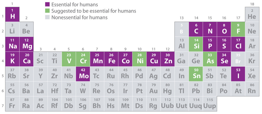 Why are the elements important?