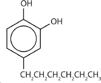 El compuesto 4-hexilresorcinol es lo suficientemente suave como para ser utilizado como ingrediente activo en preparaciones antisépticas para su uso en la piel.