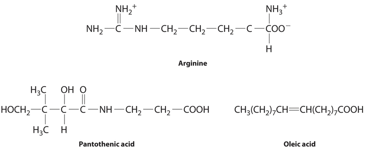 Chemical structure diagrams of arginine, pantothenic acid, and oleic acid. 