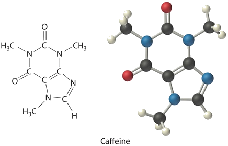 Structural and ball-and-stick model of caffeine.