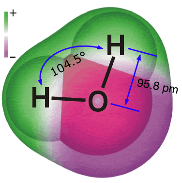 Water molecule showing 104.5 degrees H-O-H angle and 95.8 pm O-H length