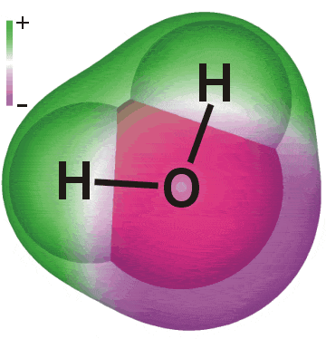 Water molecule, H-O-H  in a bent geometry