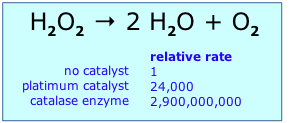 La descomposición de H2O2 es acelerada por un factor de 24000 por catalizador de platino y 2,900,000,000 por enzima catalasa
