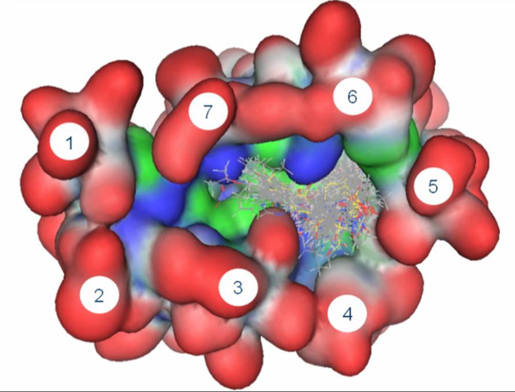 Modelo computacional de molécula