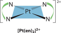 Drawing of [Pt(en)2] two plus square planar complex with two curved lines connecting the nitrogens; one curved line between each set of two nitrogens. 