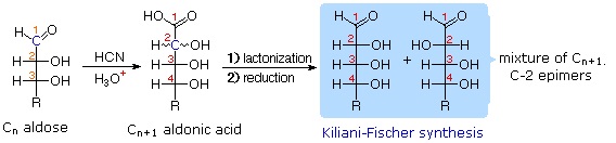 http://www2.chemistry.msu.edu/faculty/reusch/VirtTxtJml/Images3/kiliani.gif