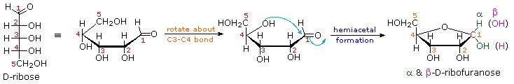 http://www2.chemistry.msu.edu/faculty/reusch/VirtTxtJml/Images3/furanos1.gif