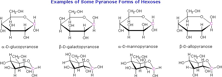 http://www2.chemistry.msu.edu/faculty/reusch/VirtTxtJml/Images3/pyranos1.gif