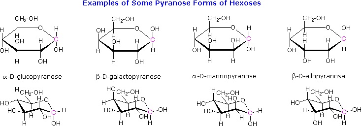l-glucopyranose structure LibreTexts Forms Chemistry Monosaccharides of Cyclic l-glucopyranose structure LibreTexts Forms Chemistry Monosaccharides of Cyclic
