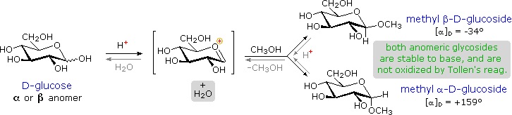 http://www2.chemistry.msu.edu/faculty/reusch/VirtTxtJml/Images3/glycsid1.gif