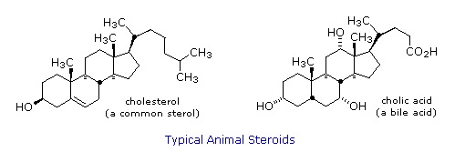 http://www2.chemistry.msu.edu/faculty/reusch/VirtTxtJml/Images3/steroid1.gif