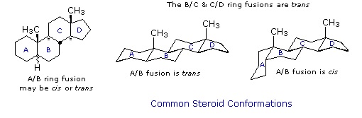 http://www2.chemistry.msu.edu/faculty/reusch/VirtTxtJml/Images3/steroid4.gif