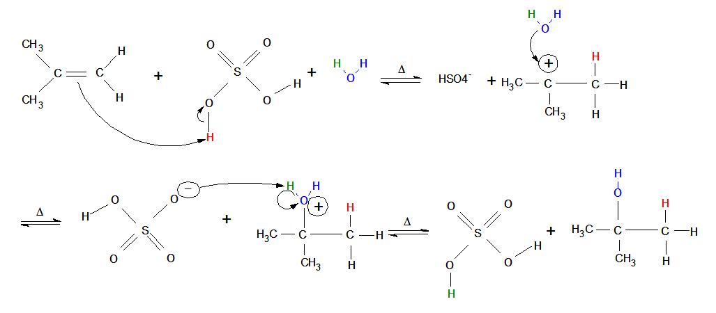 Electrophilic Hydration Mechanism.jpg