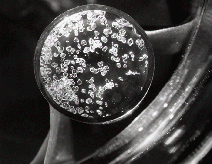 Xenon_tetrafluoride 2 (2).png